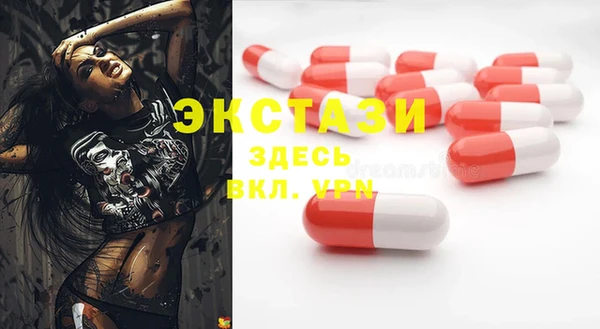 индика Богданович