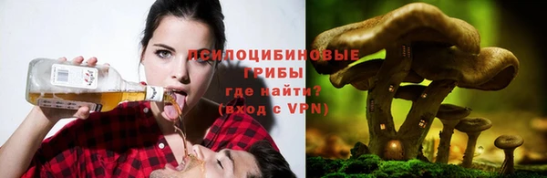 тгк Богородицк