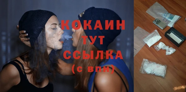 тгк Богородицк