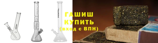 индика Богданович