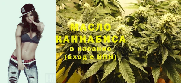 индика Богданович