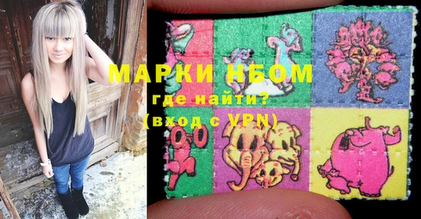 индика Богданович